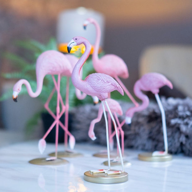 Set of Flamingos - iSurfaces