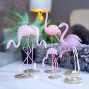 Set of Flamingos - iSurfaces
